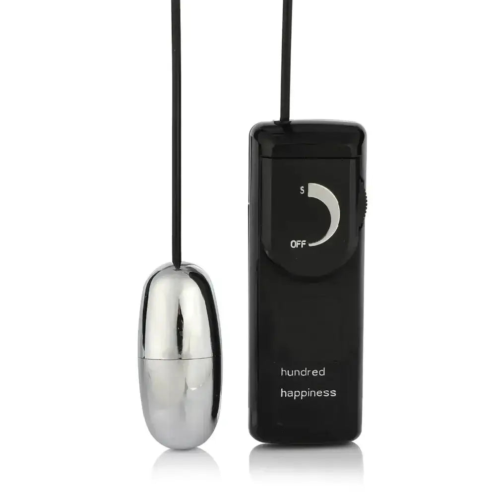 Silver mini vibrating egg with black controller and adjustable power settings.