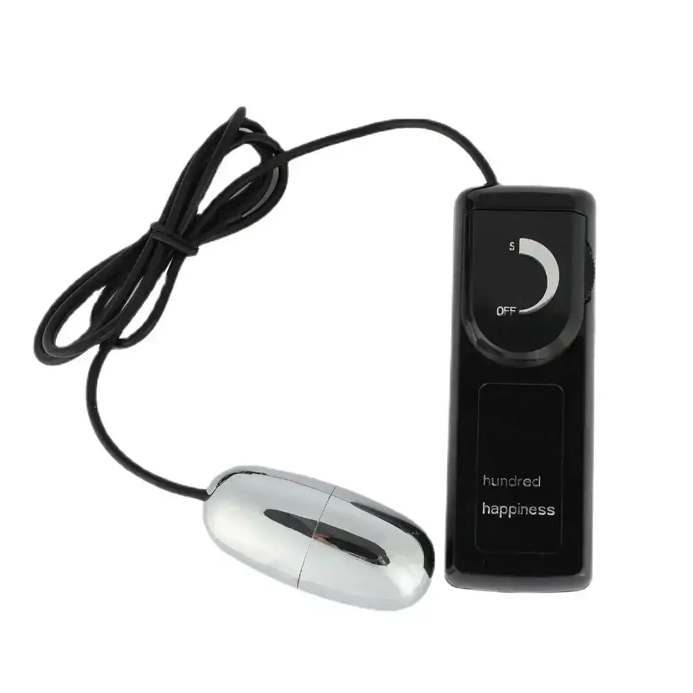Silver mini bullet vibrator with controller and power cord.